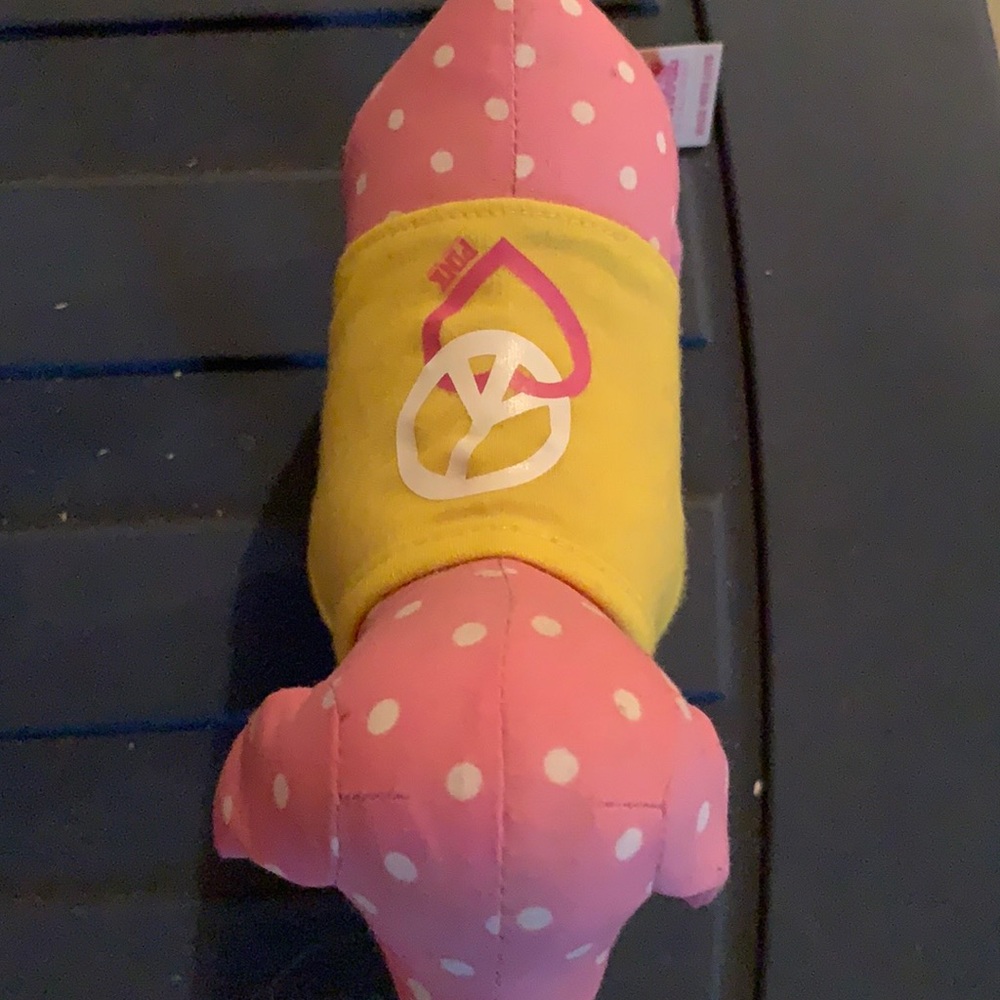 Victoria secret pink dog